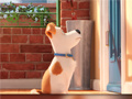 Játék Hidden Letters in The Secret Life of Pets